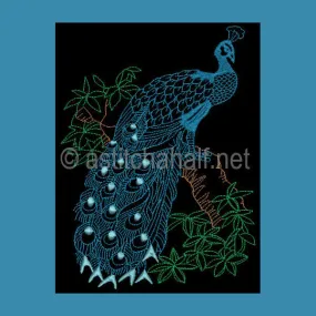Peacock 01