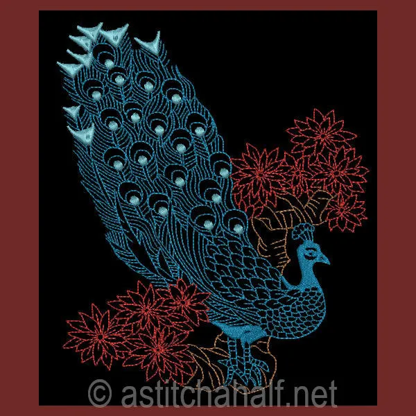 Peacock 04