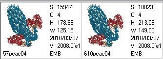 Peacock 04