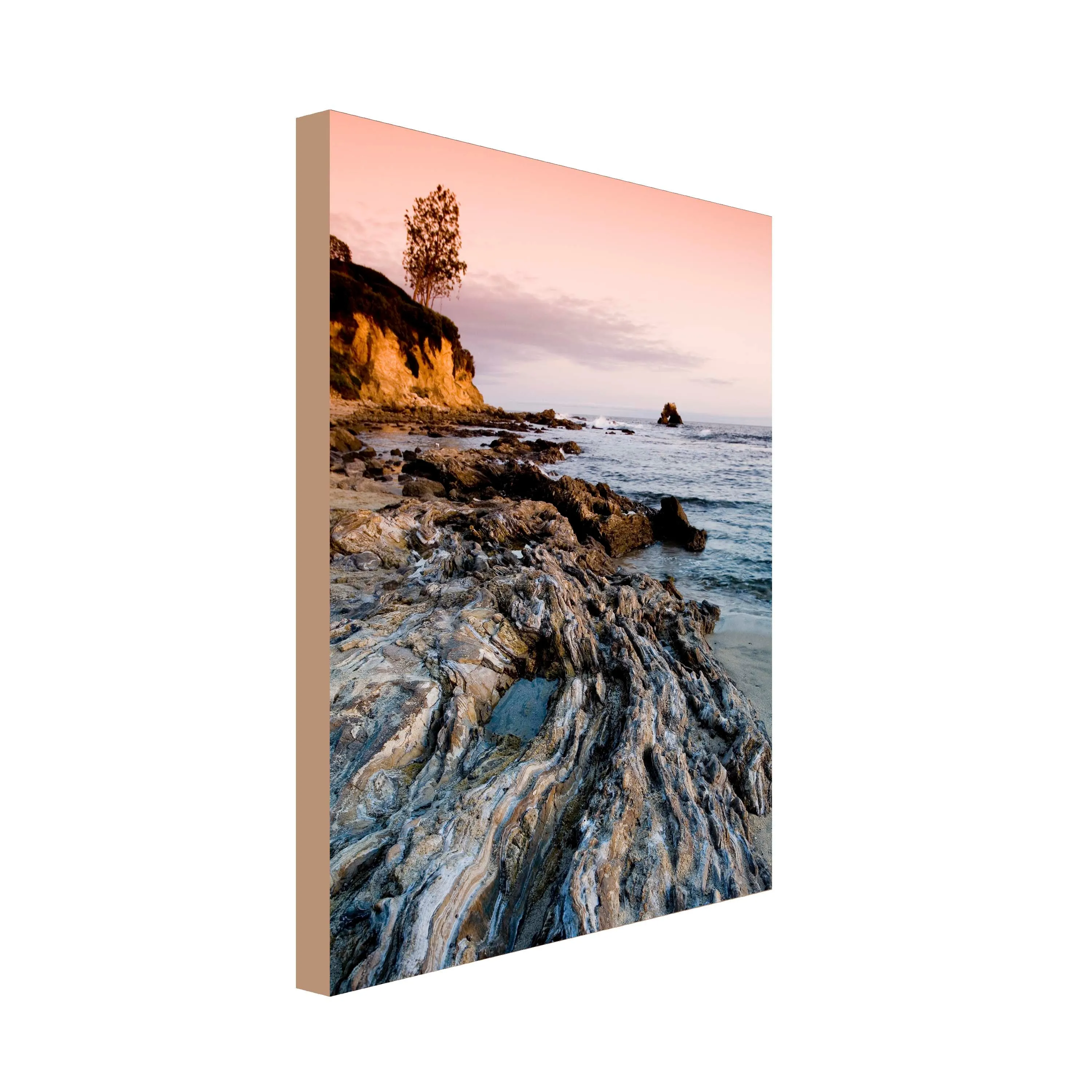 Rock Pool Art Canvas
