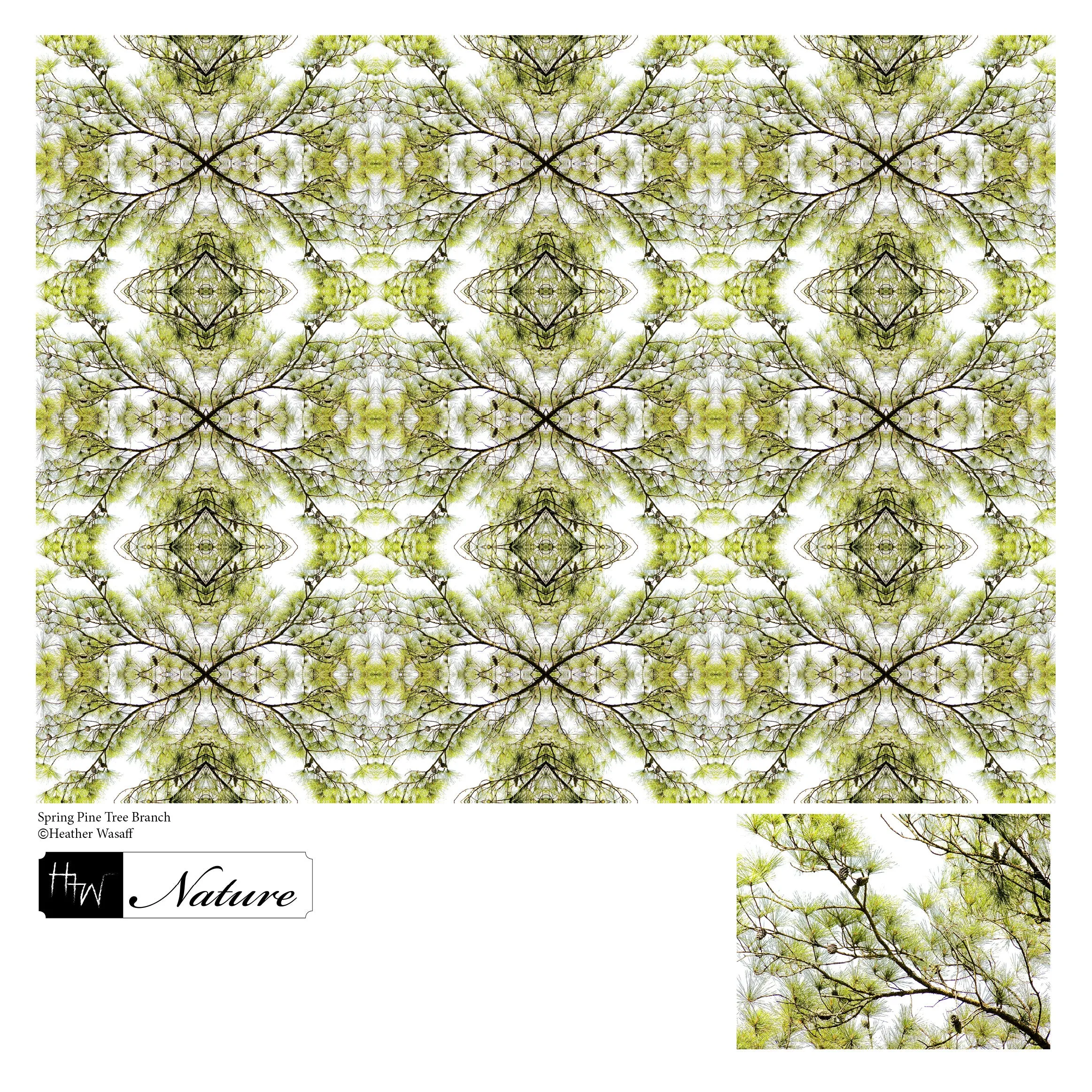Spring Pine Tree Branch Kimono